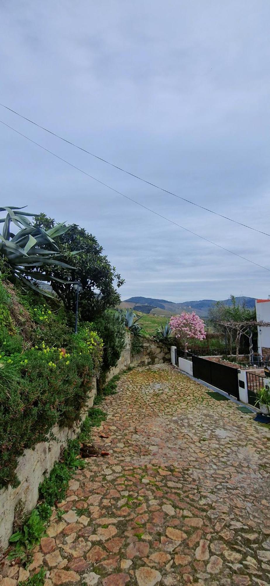 Casa Rodrigues Pinhão Exterior foto